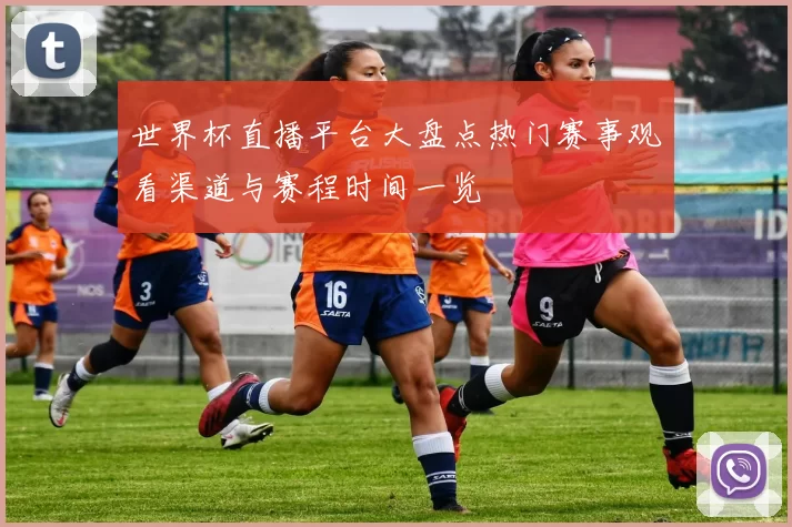 世界杯直播平台大盘点热门赛事观看渠道与赛程时间一览
