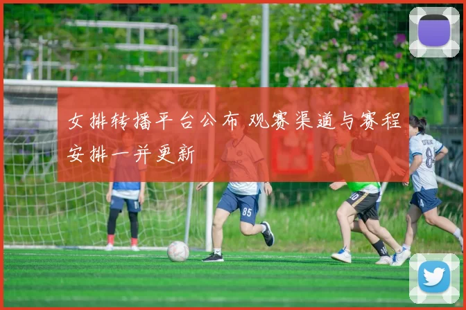 女排转播平台公布 观赛渠道与赛程安排一并更新